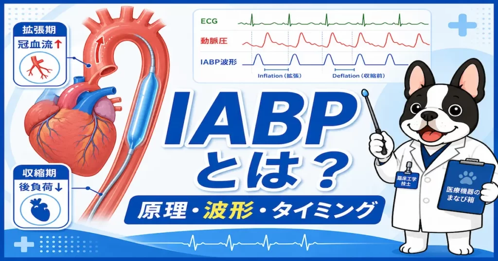 IABPとは 原理・波形・タイミングを初心者向けに解説するアイキャッチ画像