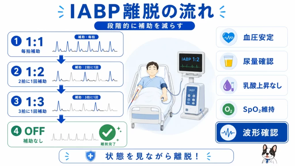IABP離脱の流れとして1対1から1対2、1対3、OFFへ段階的に補助を減らす方法と観察ポイントを解説した図解